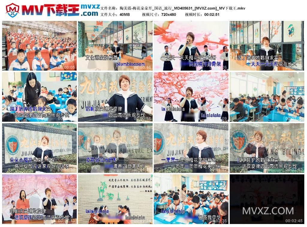 陶美霞-梅花朵朵开_国语_流行_MD405631